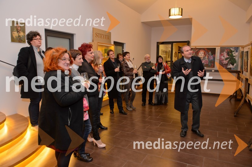 Vino in prijateljstvo 2016, odprtje razstave