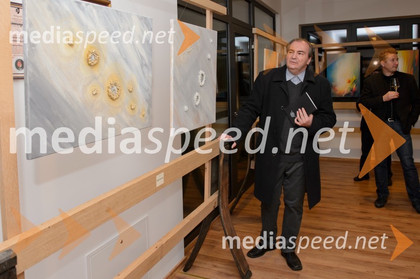 Vino in prijateljstvo 2016, odprtje razstave