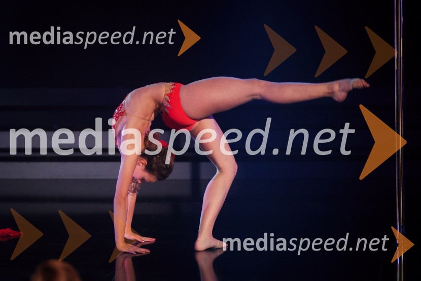  Anja Šivic, plesalkaSlovenija ima talent 2016, tretja polfinalna oddaja