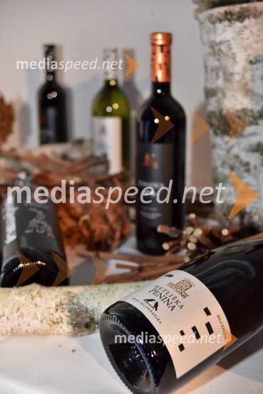 Vinska klet Metlika v novi preoblekiVinska klet Metlika v novi preobleki