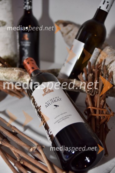 Vinska klet Metlika v novi preoblekiVinska klet Metlika v novi preobleki