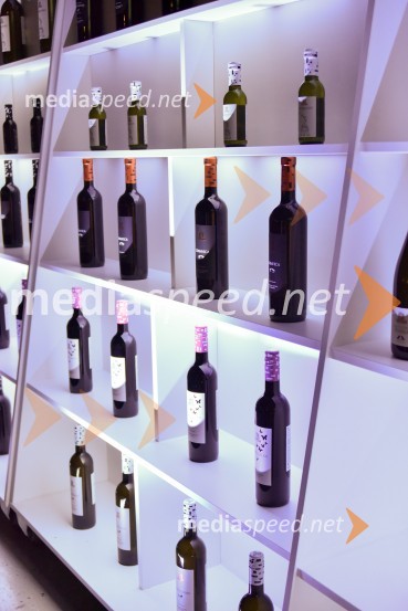 Vinska klet Metlika v novi preoblekiVinska klet Metlika v novi preobleki