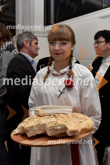 Vinska klet Metlika v novi preobleki