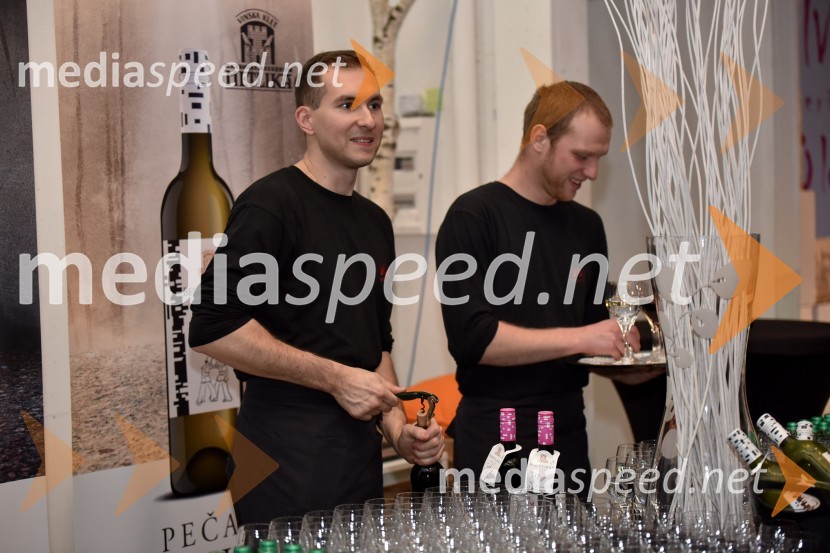 Vinska klet Metlika v novi preobleki