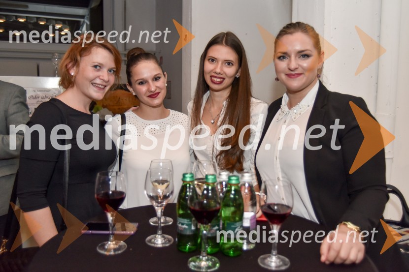 Vinska klet Metlika v novi preobleki