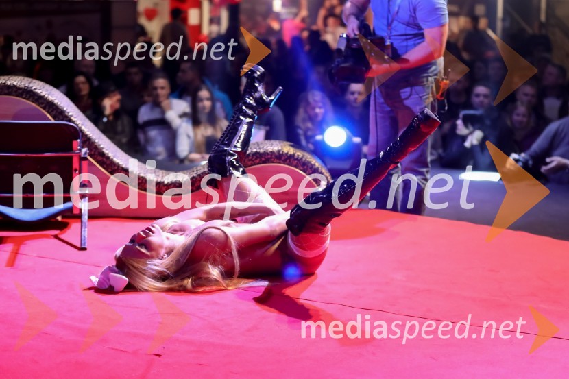 9. mednarodni erotični sejem sLOVErotika, Ogled fotografij ni priporočljiv za mlajše od 18 let!