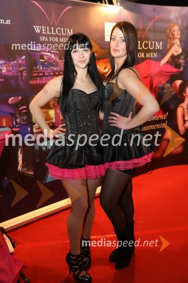 9. mednarodni erotični sejem sLOVErotika, Ogled fotografij ni priporočljiv za mlajše od 18 let!