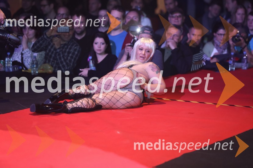 9. mednarodni erotični sejem sLOVErotika, Ogled fotografij ni priporočljiv za mlajše od 18 let!