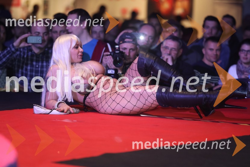 9. mednarodni erotični sejem sLOVErotika, Ogled fotografij ni priporočljiv za mlajše od 18 let!