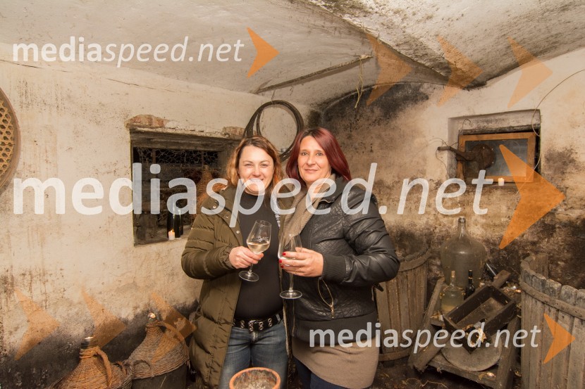 Vinarstvo Hafner, dan odprtih vrat