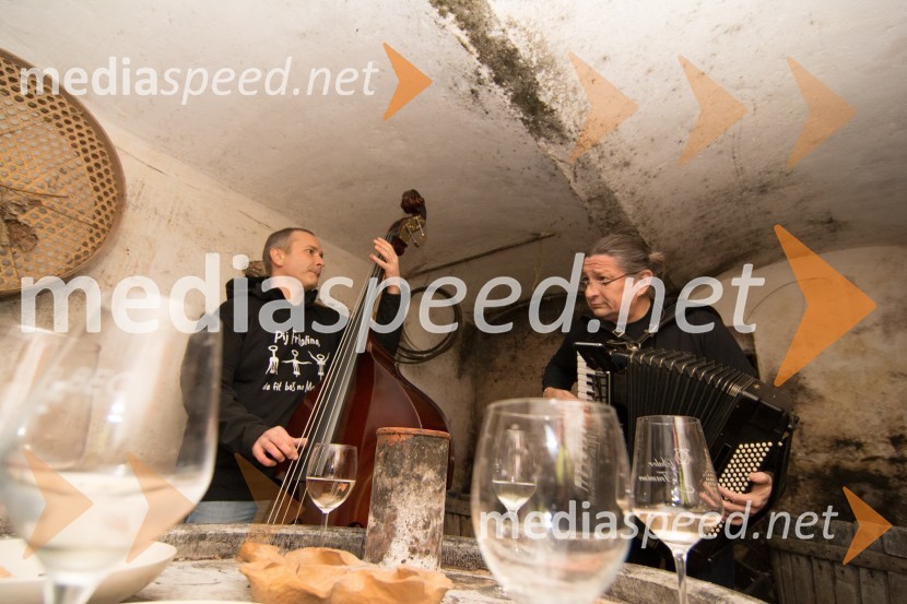  skupina Žuta osaVinarstvo Hafner, dan odprtih vrat