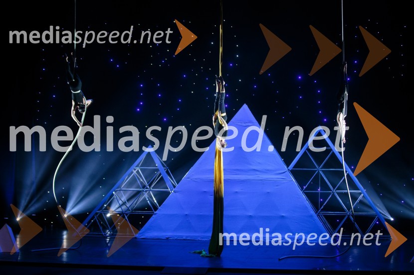 Športnik leta 2016Športnik leta 2016