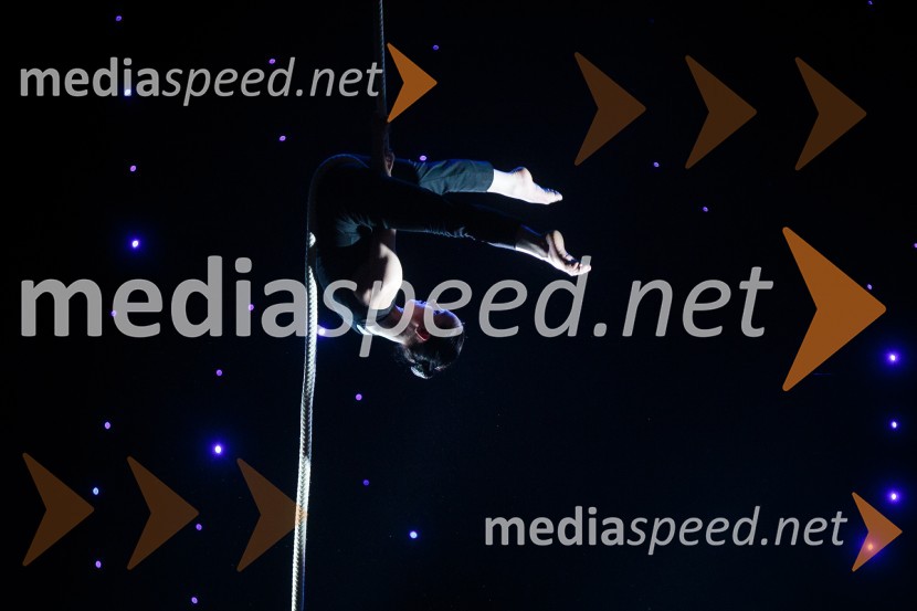 Športnik leta 2016Športnik leta 2016