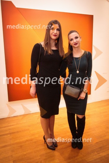 Izseki / preseki, odprtje razstave izbora del iz Likovne zbirke RIKO