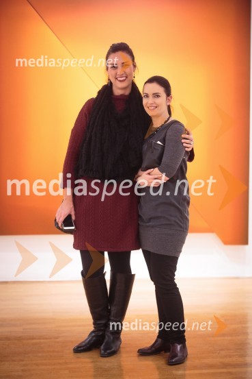 Izseki / preseki, odprtje razstave izbora del iz Likovne zbirke RIKO