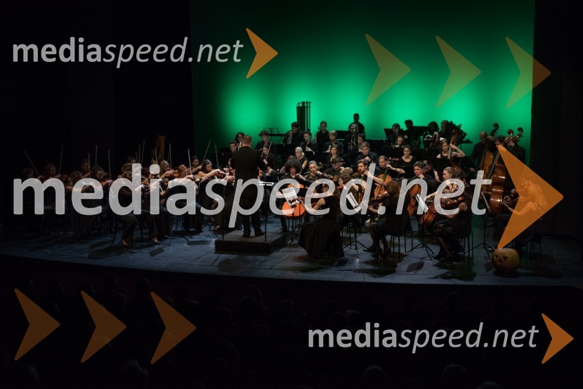 Koncertna mora, premiera predstave Koncertna mora, premiera predstave