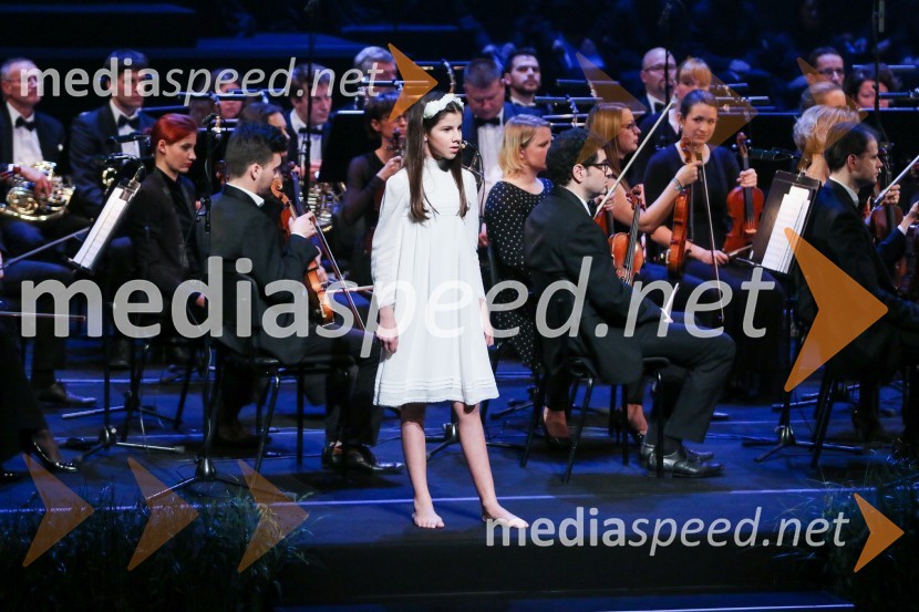 Državna proslava ob dnevu samostojnosti in enotnosti 2016