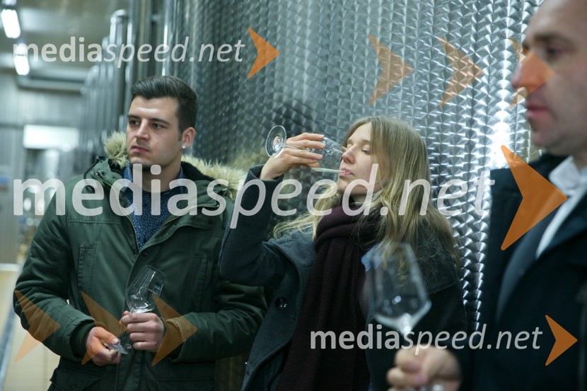  Damijan Ljubec, Mediaspeed;  Urša DebanMediaspeed 15. rojstni dan in ponovoletno druženje