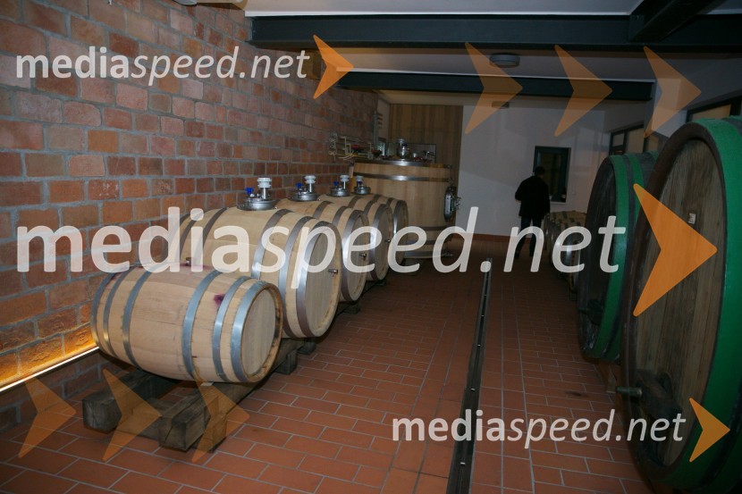 Mediaspeed 15. rojstni dan in ponovoletno druženje