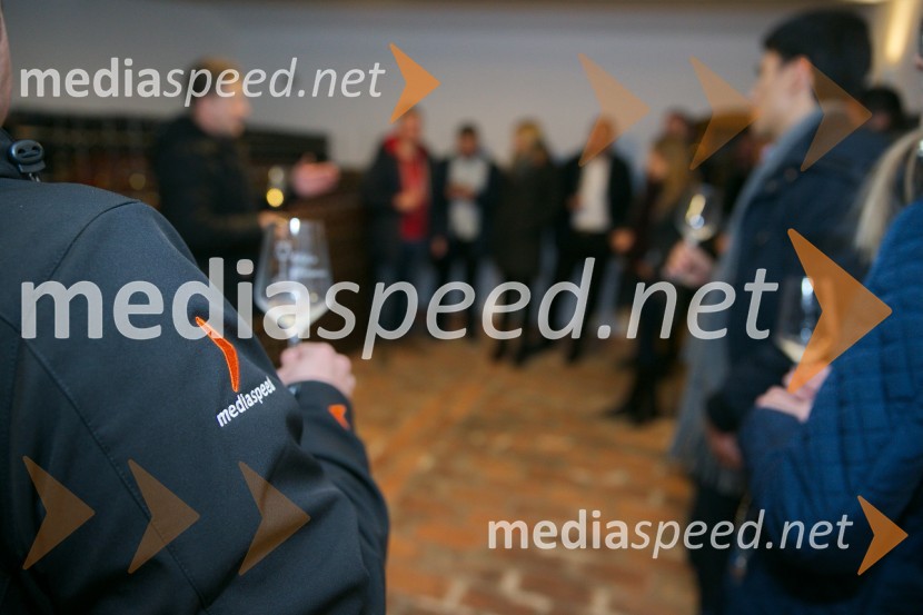 Mediaspeed 15. rojstni dan in ponovoletno druženje