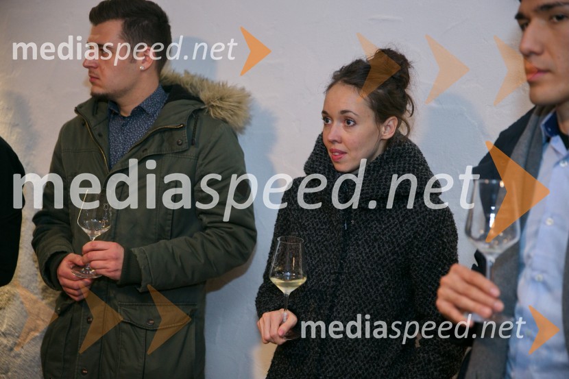  Andreja Breznik, MediaspeedMediaspeed 15. rojstni dan in ponovoletno druženje