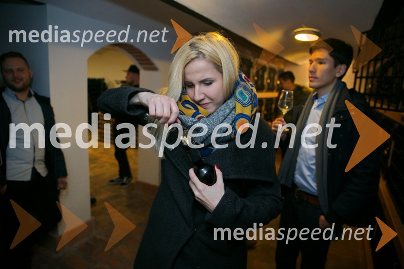  Natalija Pravdič, MediaspeedMediaspeed 15. rojstni dan in ponovoletno druženje