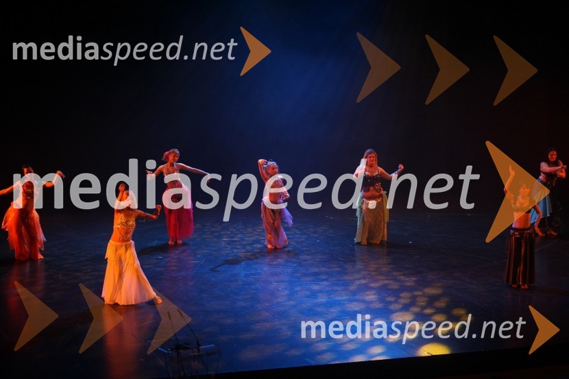 Plesna skupina Belem11. Veliki dobrodelni ples Lions kluba Ljubljana