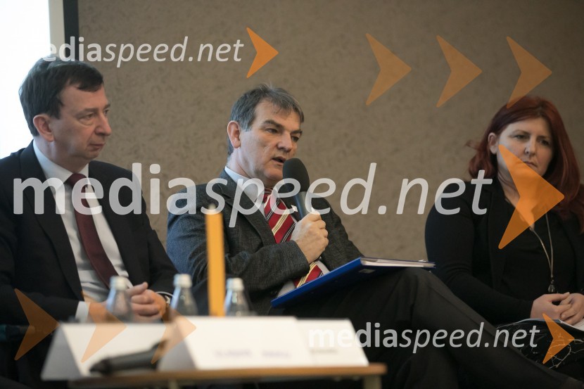 mag. Bojan Žlender, Ministrstvo za infrastrukturo in prostorEn.grids 017, konferenca Energetike.NET