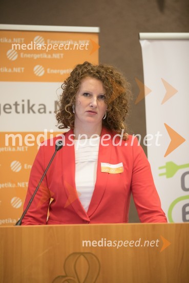  Mojca Markizeti, IskraemecoEn.grids 017, konferenca Energetike.NET