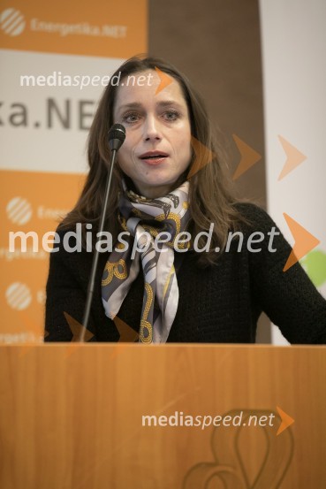 En.grids 017, konferenca Energetike.NET