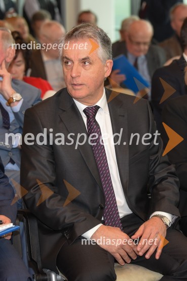  Tomaž Gantar, dr.med., podpredsednik, DeSUSKongres stranke DeSUS, izvolitev novega vodstva