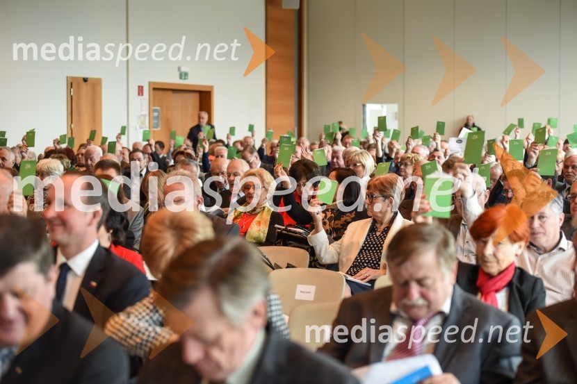 Kongres stranke DeSUS, izvolitev novega vodstva