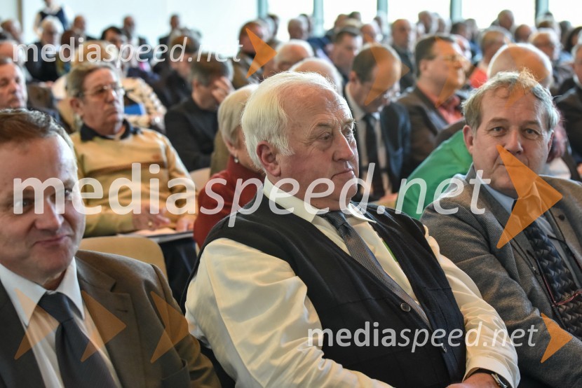 Kongres stranke DeSUS, izvolitev novega vodstva