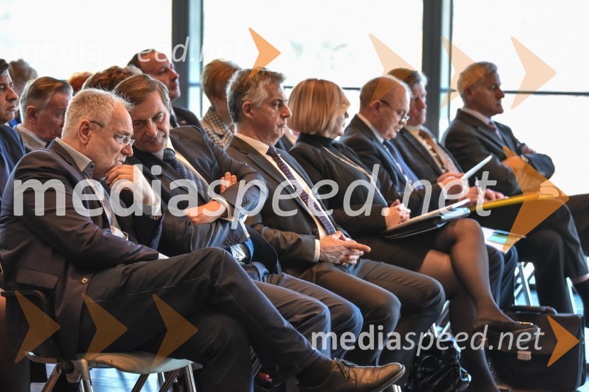  ... ;  Karl Erjavec, minister za zunanje zadeve RS, predsednik stranke DesusKongres stranke DeSUS, izvolitev novega vodstva