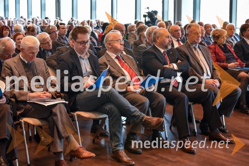 Kongres stranke DeSUS, izvolitev novega vodstva