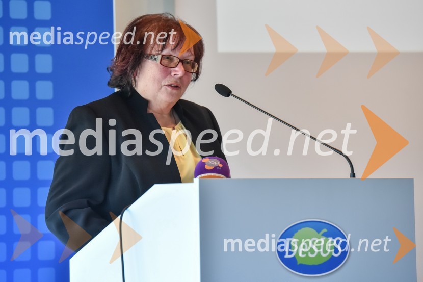 Kongres stranke DeSUS, izvolitev novega vodstva