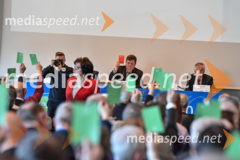 Kongres stranke DeSUS, izvolitev novega vodstva