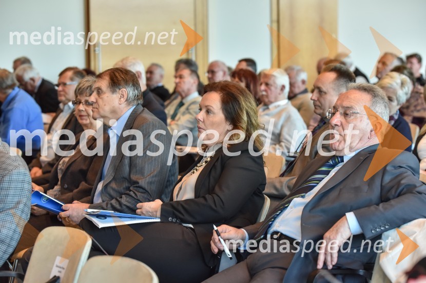  Anita Manfreda, direktorica občinske uprave, Občina Brda;  ... Kongres stranke DeSUS, izvolitev novega vodstva