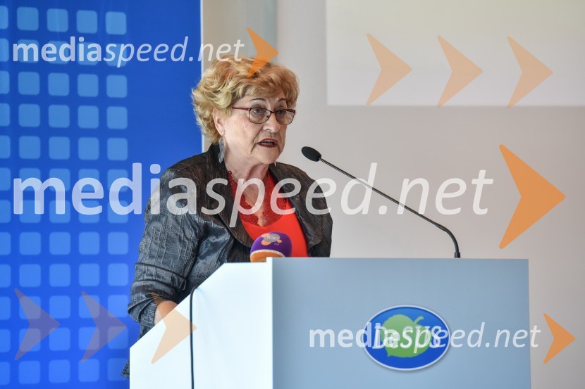  Jelka  Kolmanič, novoizvoljena podpredsednica DeSUSKongres stranke DeSUS, izvolitev novega vodstva