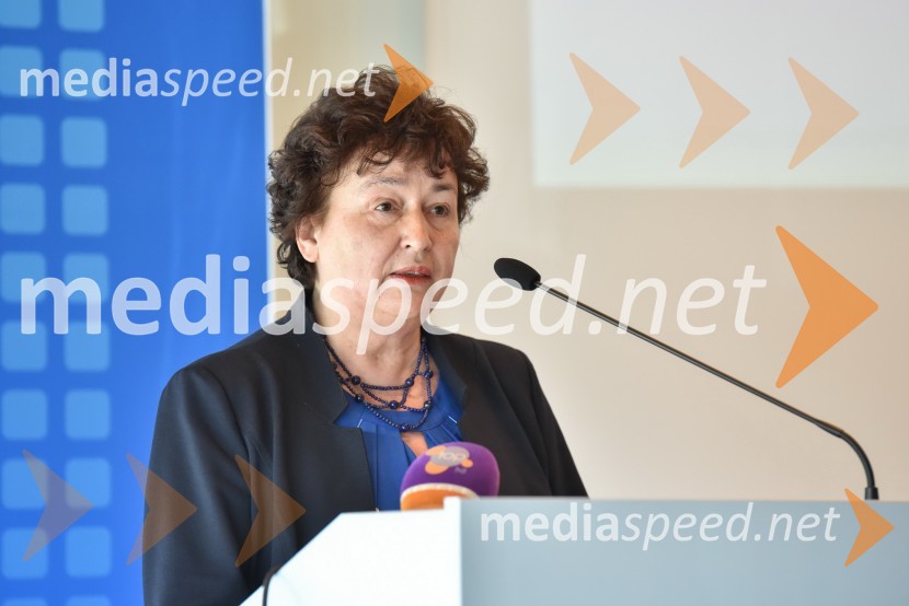 mag. Julijana Bizjak Mlakar, nekdanja ministrica za kulturoKongres stranke DeSUS, izvolitev novega vodstva