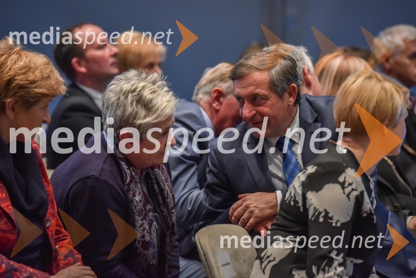  Karl Erjavec, minister za zunanje zadeve RS, predsednik stranke DesusKongres stranke DeSUS, izvolitev novega vodstva