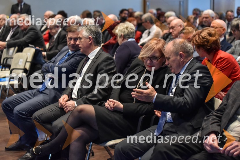 Kongres stranke DeSUS, izvolitev novega vodstva