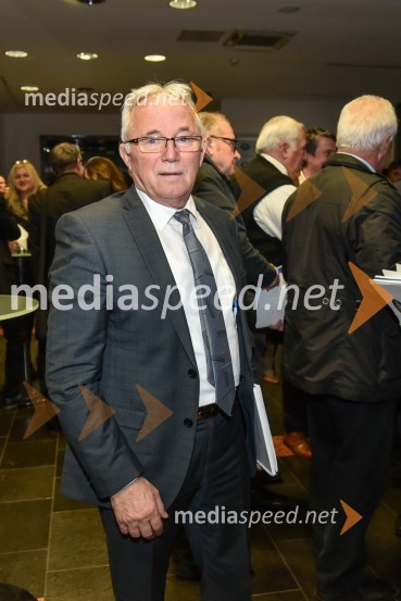  Jože Žnidarič, novoizvoljeni podpredsednik DeSUSKongres stranke DeSUS, izvolitev novega vodstva