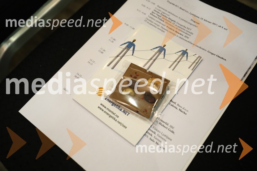 Konferenca En.grids 017En.grids 017, konferenca Energetike.NET