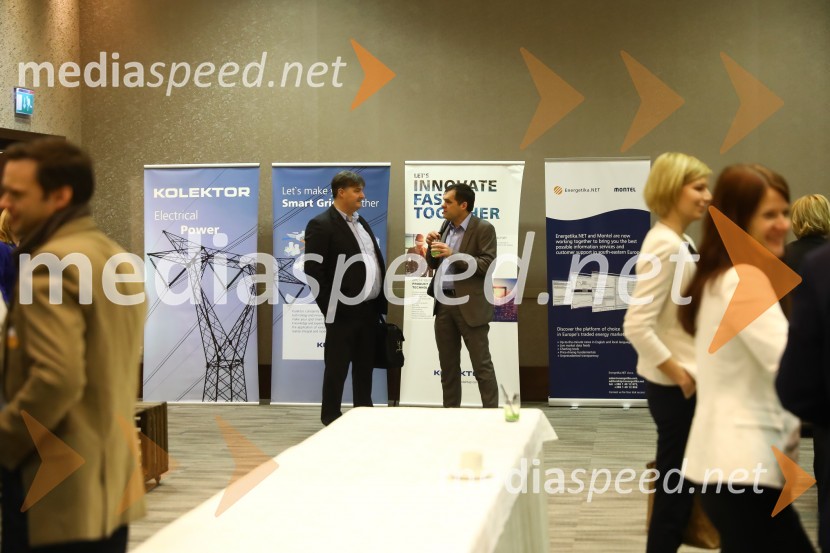 Konferenca En.grids 017En.grids 017, konferenca Energetike.NET