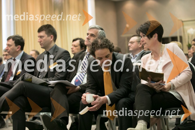  Dany Gagnon, IBMEn.grids 017, konferenca Energetike.NET