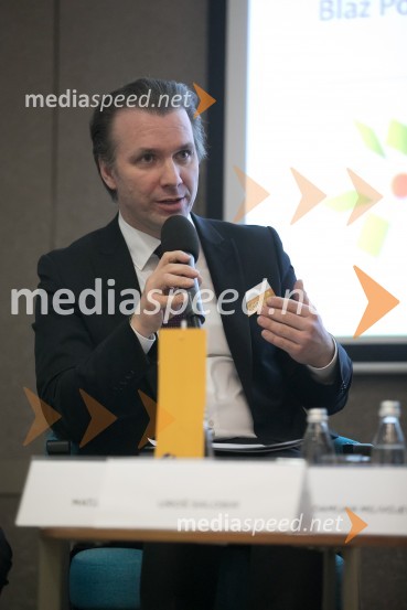 En.grids 017, konferenca Energetike.NET