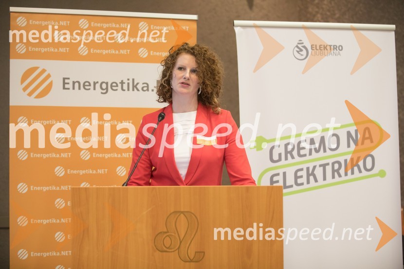  Mojca Markizeti, IskraemecoEn.grids 017, konferenca Energetike.NET