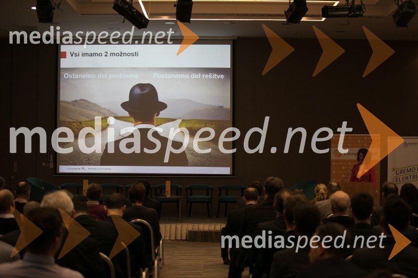 En.grids 017, konferenca Energetike.NET