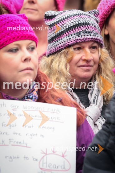 Protestni pohod žensk v Washington